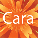 Cara Spa